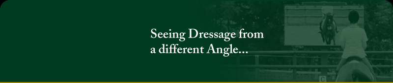 Welcome to Equestrian Reflections