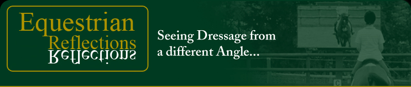 Welcome to Equestrian Reflections