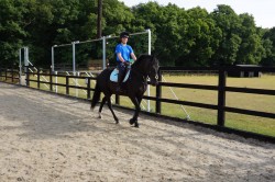 Final Calibration Testing