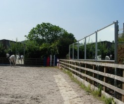 PSG Five - All landscape