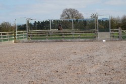 PSG Five - End mirrors portrait