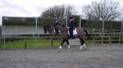 PSG Five - Working In