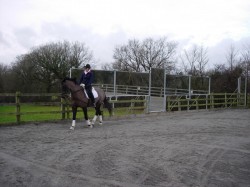 PSG Five - Working In